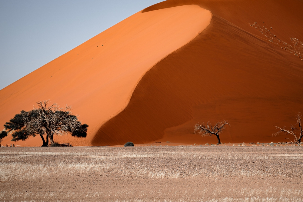 AFRIQUE