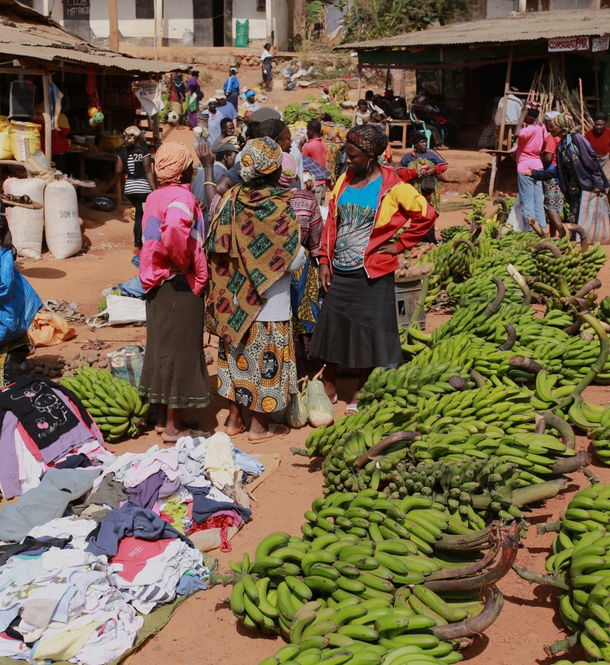Cameroun