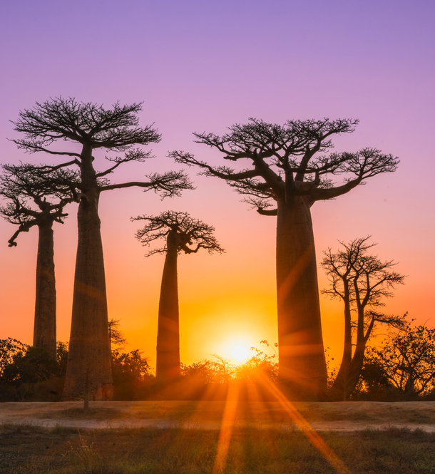 Madagascar